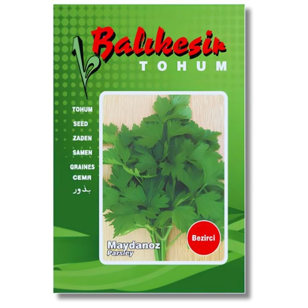 Balıkesir/Bezirci Maydanoz Tohumu 10 Gr