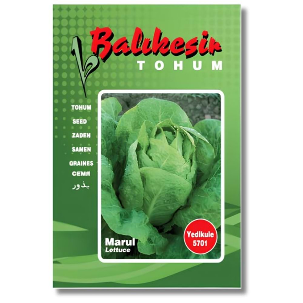 Balıkesir/Yedikule 5701 Marul Tohumu 10 Gr
